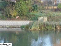 Imagine atasata: 18 oct (3).jpg